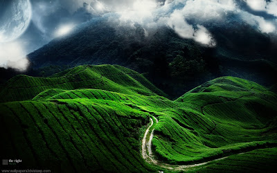 Windows7 wallpaper