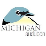 Our Parent Organization