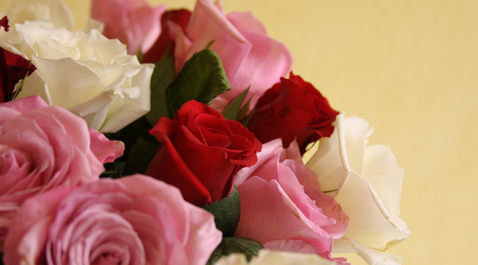 [IMG_0997_2.JPG]