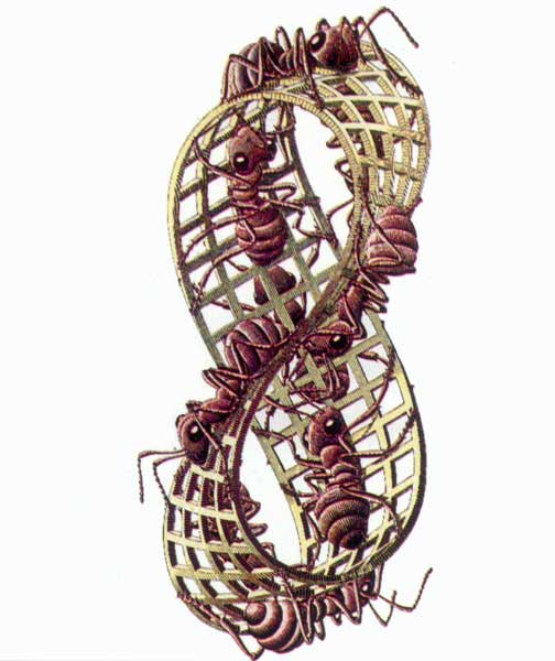 [sul+romanzo+blog.jpg]