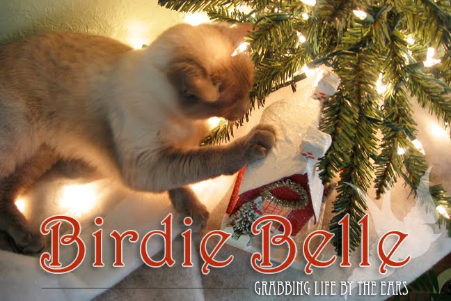 Birdie Belle