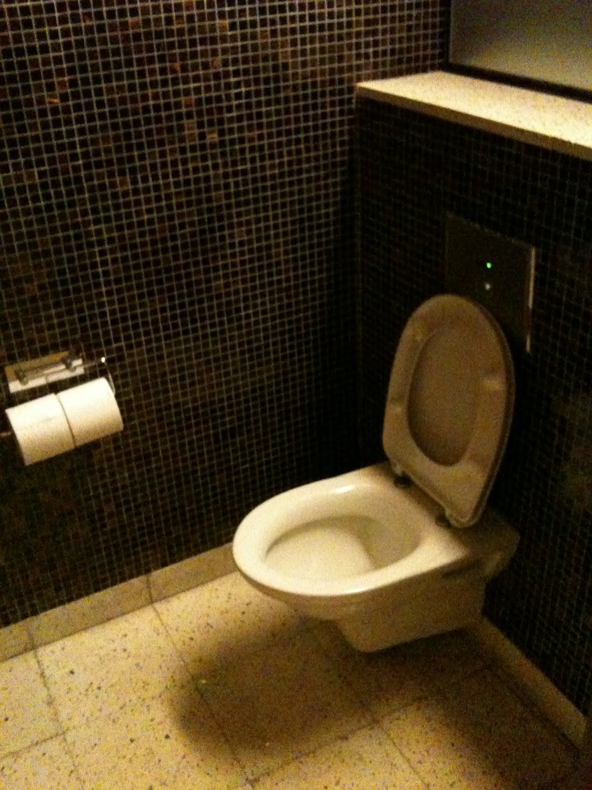 My Toilet Experience Equinox Restaraunt Toilet