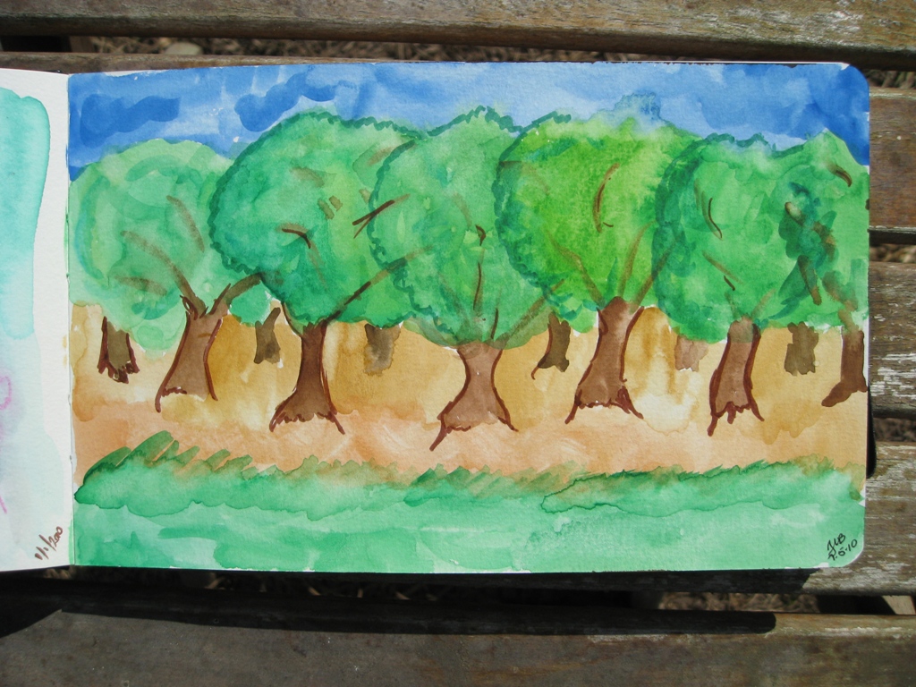 Pens Paper Inks...Whatever! Moleskine Watercolor Journal