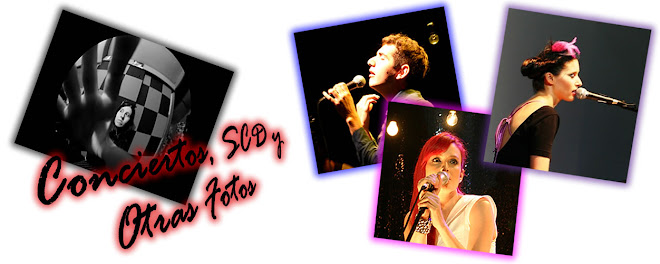 Conciertos, SCD y Otras fotos