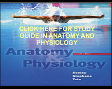 ANATOMY and PHYSIOLOGY NOTES