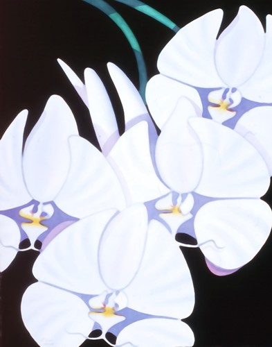 [101008_filer_crist_white_palaenopsis.jpg]