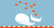 Picture - Twitter