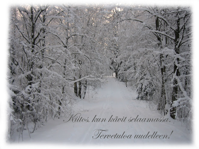 LUMIMETSÄ LUMIMETSÄ