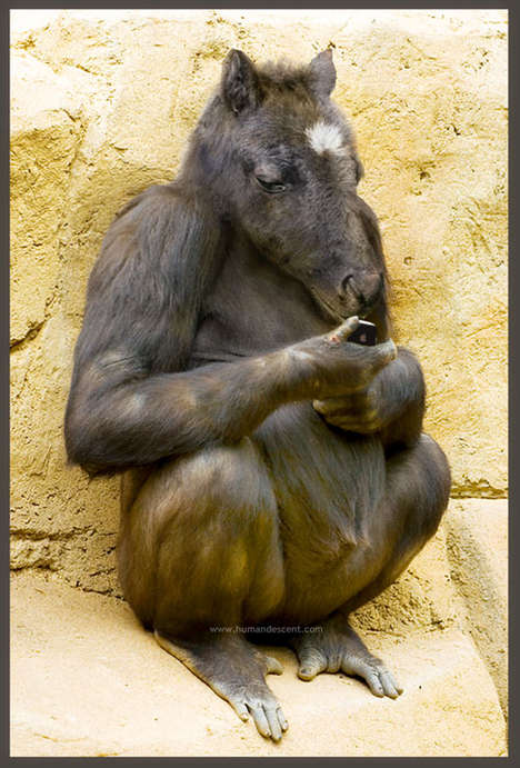 Crazy Animal Pictures: crazy animal pictures