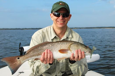 redfish on DOA shrimp