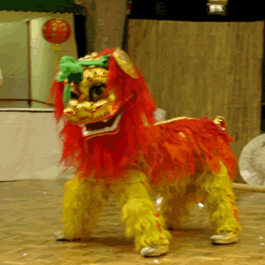 Lion Dance Gif