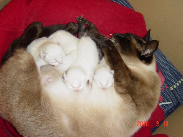 [DSC08590.JPG]