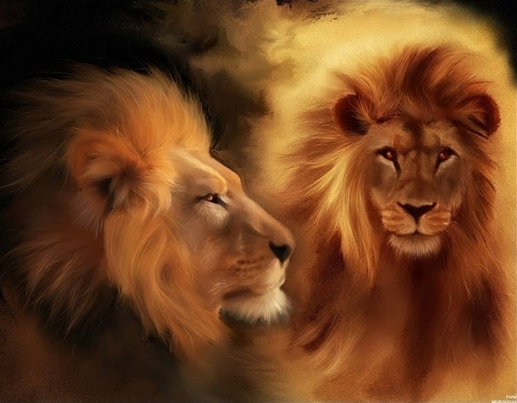 [lions.jpg]