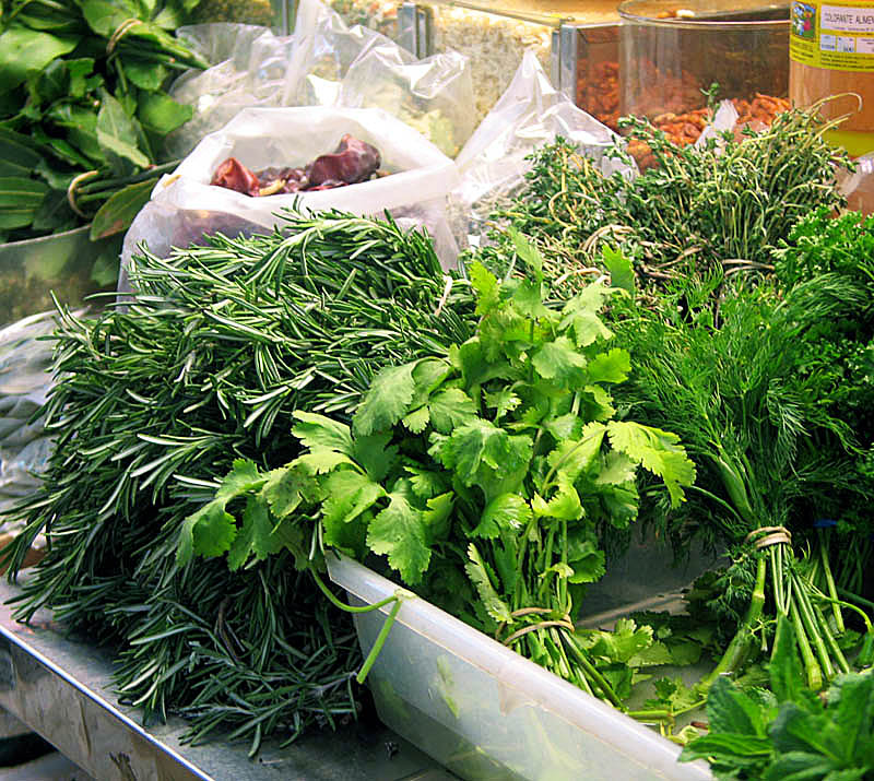 Preserve Fresh Herbs for Enduring Flavor 2 A beautiful selection of assorted fresh herbs, including basil, rosemary, and thyme, neatly arranged.
