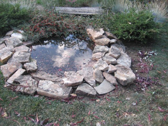 bird pond
