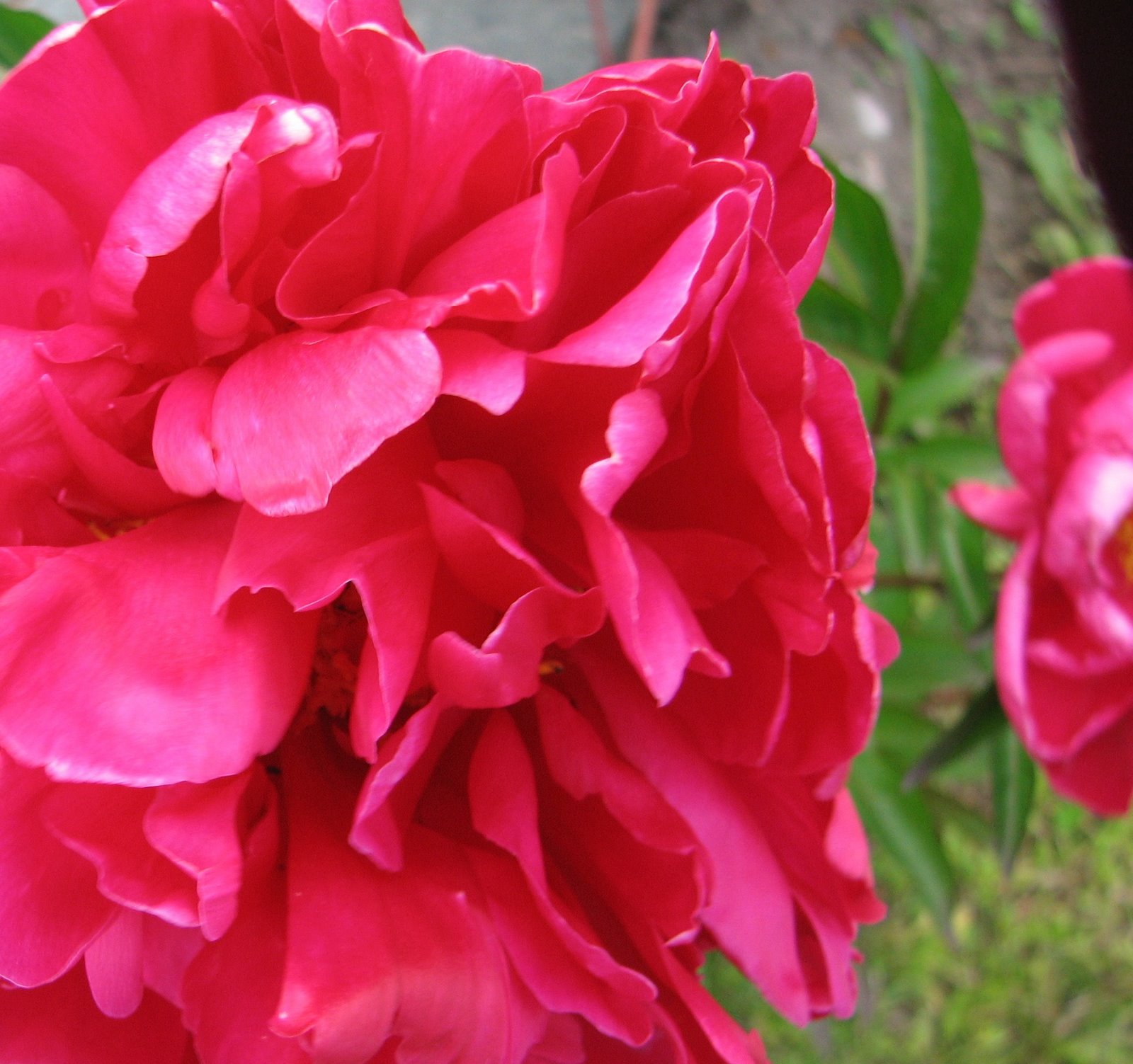 [IMG_0016c.JPG]