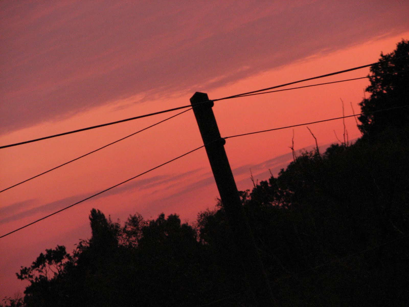 [Mummy+shots+(27).JPG]