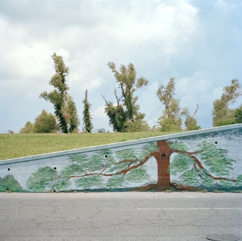 [colleenmullins.jpg]