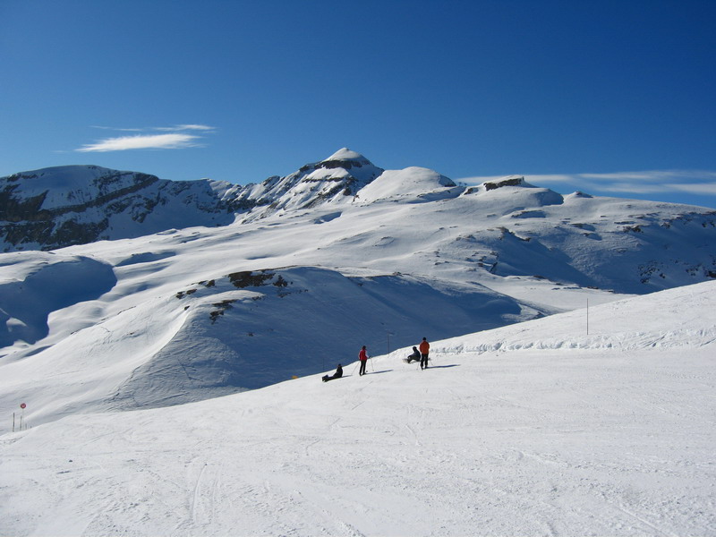 [Resize+of+IMG_5476.JPG]