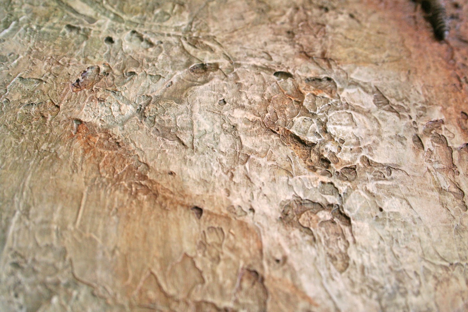 E Makes Art Crumbled Rusty Garden Wall Painting