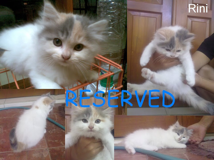 rini reserved