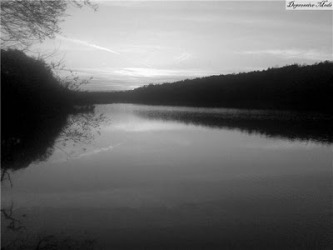 [depressivemode-2010.jpg]