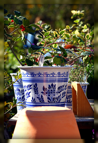 Colonial Pots