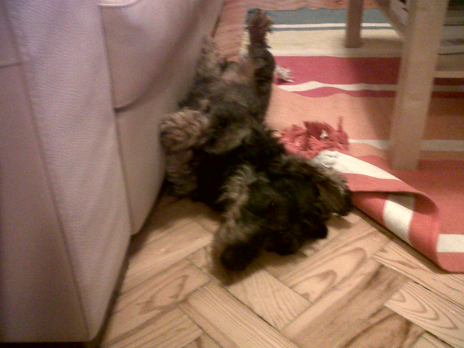 [=?utf-8?B?SU1HMDA0NzAtMjAxMDAxMjItMjMzNC5qcGc=?=-720438]