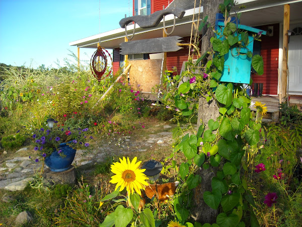 Heart and Harvest of the Adirondacks