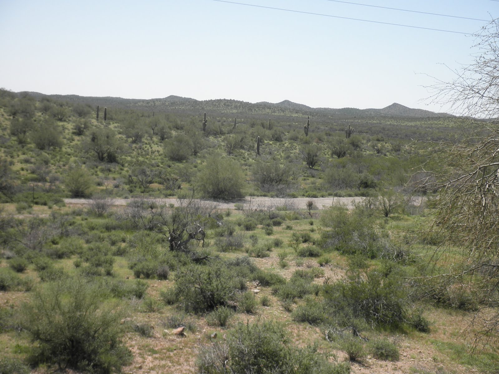 Bruce's TransAm bike ride spring 2010 Day 7, Mar 28 Salome, AZ to