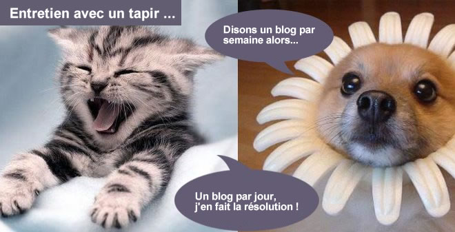 Entretien avec un tapir
