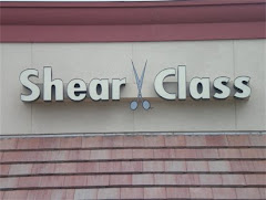 Shear Class