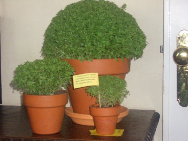 [Copy+of+CIMG2810.JPG]