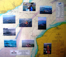 Chart showing Hoffy's 32 mile (52KM) swim across The English Channel on Tuesday July 10. 2007