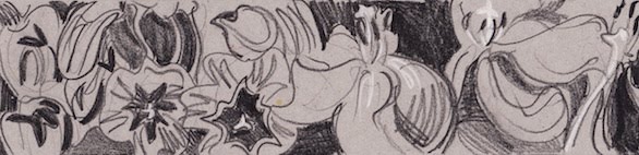 Katarzyna Zak illustrations, paintings and drawings...