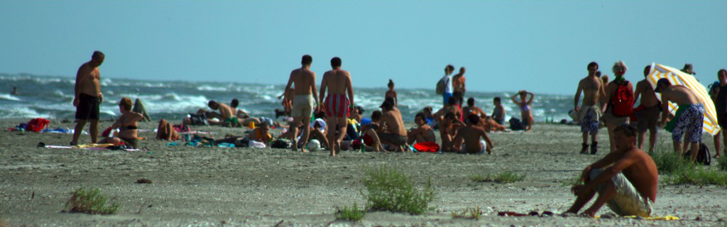 [IMG_1069.jpg]