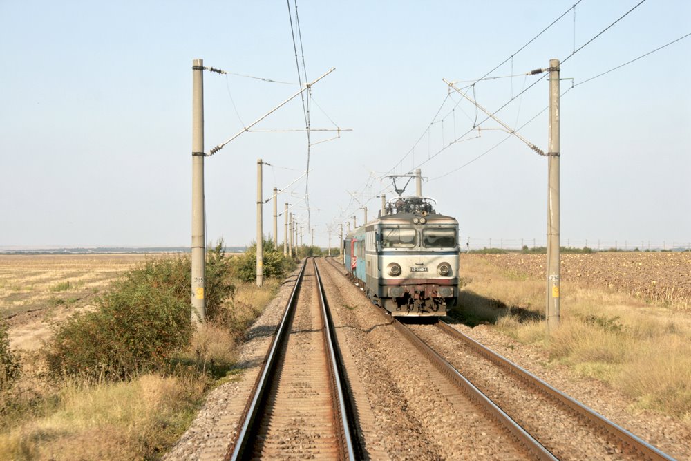 [IMG_3223mic.jpg]