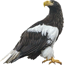 The Great Eagle is the symbol of John the Evangelist