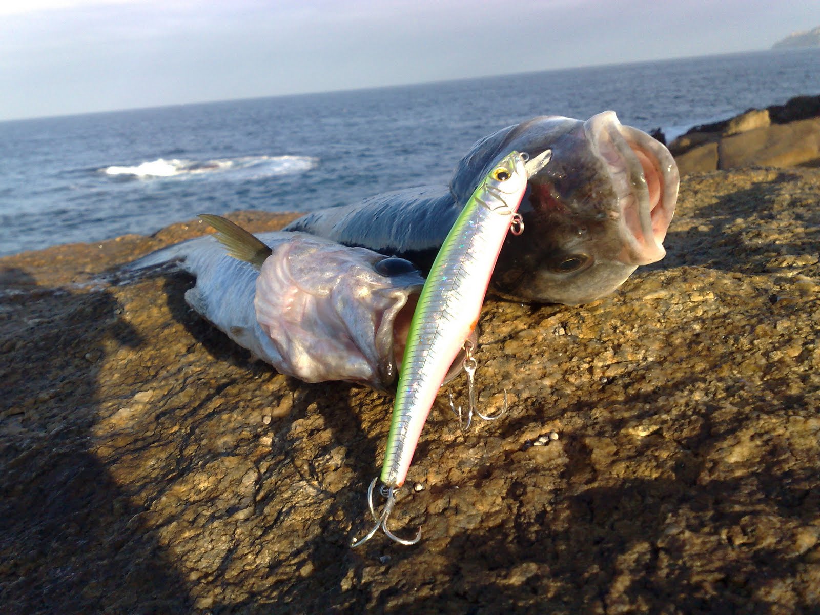 [Despues+de+tres+meses....jpg]