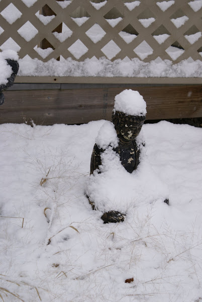 Snow Buddha