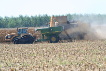 2007 Corn Harvest