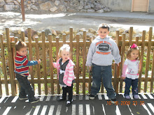 The kids looking at the animals
