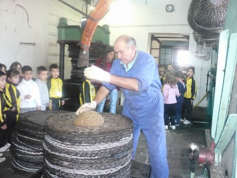 [Cambiar+tamañoDrecera+a+P1000605.JPG.jpg]