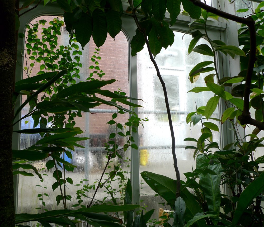 [greenhouse+2.jpg]