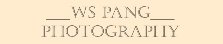 Wee Siang Pang: Freelance Photographer Based in Lahad Datu, Sabah, Malaysia.