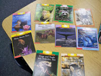 First Grade Best: January 2011