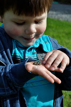 Nature Boy and His Frog