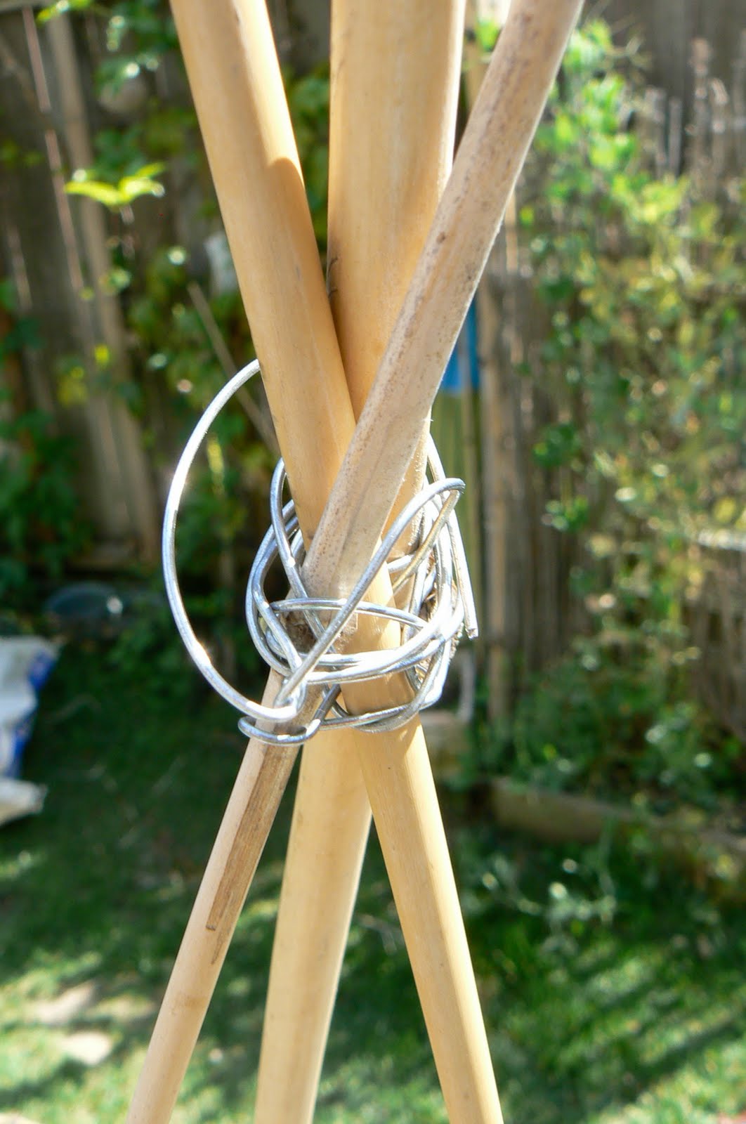 Make a Bean Teepee. - The Magic Onions