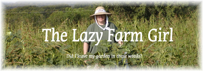 The Lazy Farm Girl