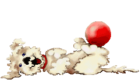 [111.gif]